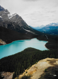 Peyto Lake, Banff National Park in the Canadian Rockies. The lake is an unexplainable color of blue that cameras cannot accurately capture. (Photo by Gretchen Lord Anderson)